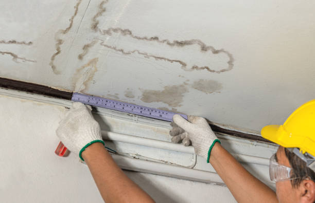 Reliable Mold Remediation contractor in Memphis, TX by Local Water Damage Repair